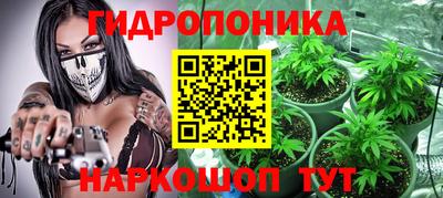 бошки Кудрово