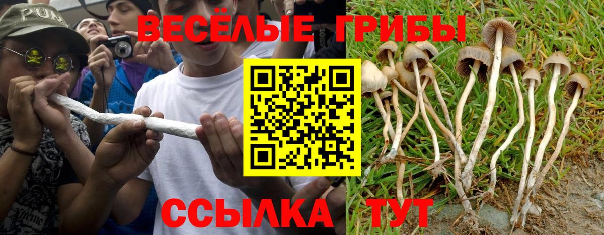 Галлюциногенные грибы ЛСД Малоярославец