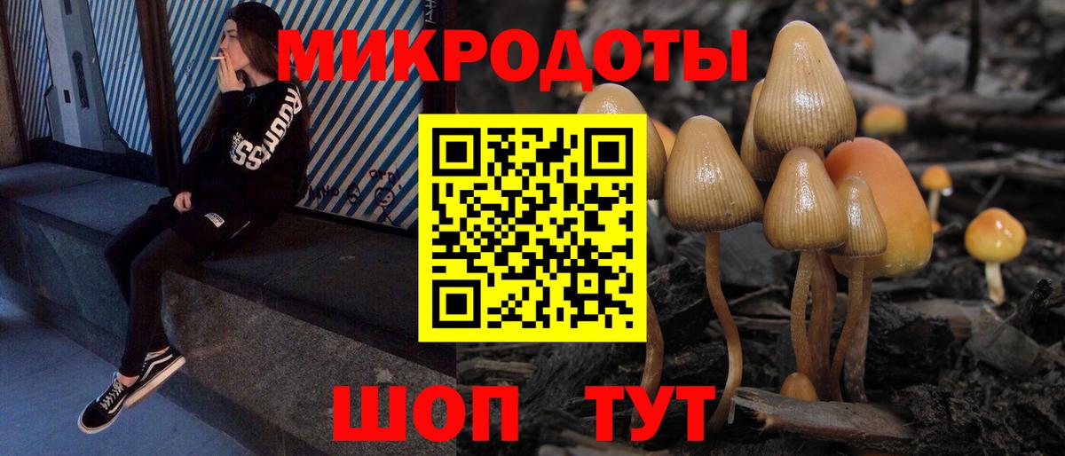 Малоярославец  Галлюциногенные грибы MAGIC MUSHROOMS  Вход с VPN  Псилоцибиновые грибы Psilocybe 